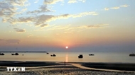 Quang Ninh: Co To Special Zone boosts marine economy